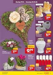 Ähnliche Regentonne Angebote im Prospekt "Aktuelle Angebote" von Netto Marken-Discount in Coburg Ähnliche Angebote wie Regentonne im Prospekt "Aktuelle Angebote" auf Seite 9 von Netto Marken-Discount in Coburg