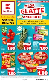 Aktueller Kaufland Supermarkt Prospekt in Anröchte und Umgebung, "Sonderbeilage" mit 8 Seiten, 09.01.2025 - 15.01.2025