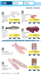 METRO Tintenfisch im Prospekt 
