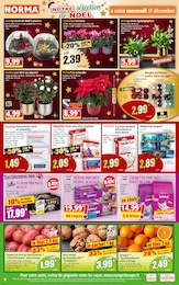 Offre Alimentation Chat dans le catalogue Norma du moment à la page 8