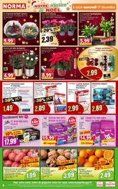 Ampoule Angebote im Prospekt "Votre Discounter Régional" von Norma Ampoule Angebote im Prospekt "Votre Discounter Régional" von Norma auf Seite 8