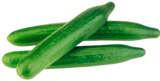 E center - Salatgurke Angebot im Prospekt Salatgurke bei E center im Prospekt "" für 0,88 €