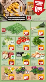 Blumen im REWE Prospekt in Dreieich Aktueller REWE Prospekt mit Blumen, "Dein Markt", Seite 7