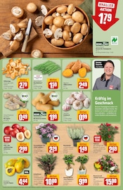 Ähnliche Saatgut Angebote im Prospekt "Dein Markt" von REWE in Herne Ähnliche Angebote wie Saatgut im Prospekt "Dein Markt" auf Seite 7 von REWE in Herne