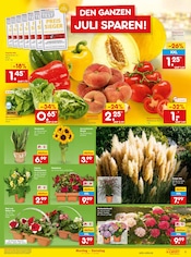 Paprika im Netto Marken-Discount Prospekt in Amberg Aktueller Netto Marken-Discount Prospekt mit Paprika, "Aktuelle Angebote", Seite 7