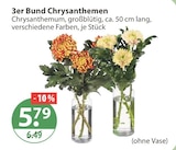 Chrysanthemen im aktuellen V-Markt Prospekt für 5,79 €