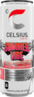 CELSIUS SUMMER VIBE - CELSIUS en promo chez Auchan Hypermarché Avignon