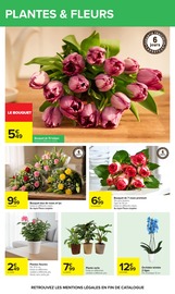 Orchidée en promo dans le catalogue Carrefour à la page 84