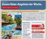 REWE Scheidegg Prospekt mit  im Angebot für 1.499,00 €