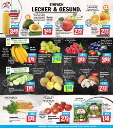 Aktueller HIT Prospekt "ECHTE VIELFALT" Aktueller HIT Prospekt