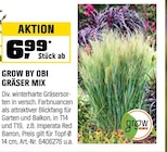 GRÄSER MIX von GROW BY OBI im aktuellen OBI Prospekt für 6,99 €
