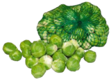 Rosenkohl im aktuellen Prospekt bei EDEKA in Löbnitz