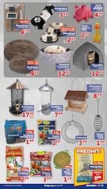 Aktueller CENTERSHOP Prospekt mit Sonnenblumenkerne, "Da geht was.", Seite 13