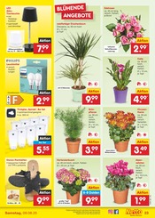 Ähnliche Gummistiefel Angebote im Prospekt "Aktuelle Angebote" von Netto Marken-Discount in Fulda Ähnliche Angebote wie Gummistiefel im Prospekt "Aktuelle Angebote" auf Seite 35 von Netto Marken-Discount in Fulda