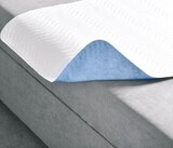 Netto mit dem Scottie Senftenberg - Inkontinenzauflage Angebot im Prospekt Inkontinenzauflage bei Netto mit dem Scottie im Senftenberg Prospekt für 7,99 €