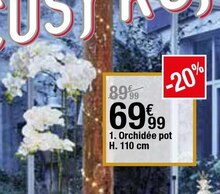 Orchidée pot H. 110 cm - But à Albi Orchidée pot H. 110 cm en promo chez But Albi à 69,99 €