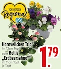 Hornveilchen Trio von  im aktuellen EDEKA Prospekt für 1,79 €