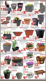 Blumentopf im Wreesmann Prospekt "DEIN SAISON- & SONDERPOSTENMARKT!" mit 16 Seiten (Bremerhaven)