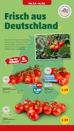 Tomaten im Penny Prospekt in Goslar Aktueller Penny Prospekt mit Tomaten, "Wer günstig will, muss Penny.", Seite 8
