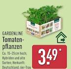Tomatenpflanzen von Gardenline im aktuellen ALDI Nord Prospekt