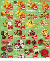 Aktueller Kaufland Prospekt mit Chrysantheme, "KNÜLLER", Seite 11