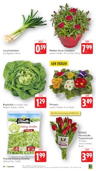 Tulpen im aktuellen EDEKA Prospekt (Mainz) Tulpen im EDEKA Prospekt "Aktuelle Angebote" mit 54 Seiten (Mainz)