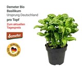 GLOBUS Koblenz - Bio Basilikum Angebot im Prospekt Bio Basilikum bei GLOBUS im Koblenz Prospekt für