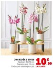 Orchidée 2 tiges - Super U à Villeurbanne Orchidée 2 tiges en promo chez Super U Villeurbanne à 10,99 €