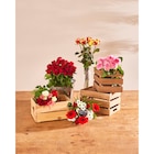 Bouquet Bonne fête Papa - FLEUR - Carrefour à Dijon Bouquet Bonne fête Papa - FLEUR en promo chez Carrefour Dijon à 7,99 €