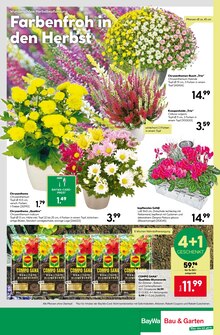 Blumentopf im BayWa Bau- und Gartenmärkte Prospekt "Ihr Projekt im Herbst!" mit 24 Seiten (Nürnberg)