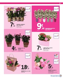 Offre Plante D'intérieur dans le catalogue E.Leclerc du moment à la page 5