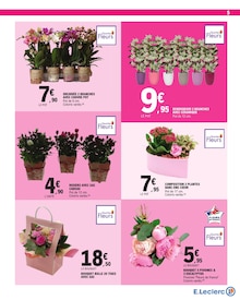 Promo Plante D'intérieur dans le catalogue E.Leclerc du moment à la page 5