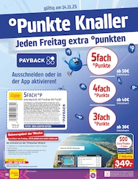 Netto Marken-Discount Farbe im Prospekt 