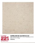 Carrelage sol caliope 60 x 60 en promo chez Gedimat Poitiers à 22,18 €