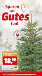 Nordmanntanne Angebot im aktuellen Thomas Philipps Prospekt auf Seite 2
