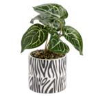 Gifi Choisy-le-Roi - Promo Plante artificielle Promo Plante artificielle à 4,99 € dans le catalogue Gifi à Choisy-le-Roi