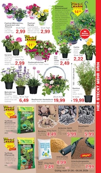 Gartenerde im aktuellen Jawoll Prospekt (Mönchengladbach) Gartenerde im Jawoll Prospekt "Sonderposten-Märkte" mit 16 Seiten (Mönchengladbach)