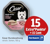 klassik-terrine bei E center im Prospekt "" für 