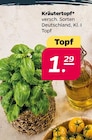 Kräutertopf bei Netto mit dem Scottie im Schwerin Prospekt für 1,29 €
