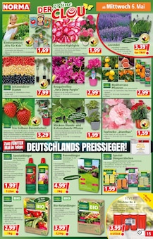 Teppich im Norma Prospekt "Mehr fürs Geld" mit 20 Seiten (Würzburg)