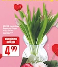 Herzstücke Premium-Tulpen von EDEKA im aktuellen EDEKA Prospekt