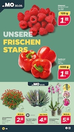 Aktueller Netto mit dem Scottie Prospekt mit Blumen, "Günstig. Besser. Für Dich.", Seite 2