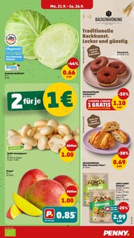 Brot im aktuellen Penny Prospekt (Hildesheim) Brot im Penny Prospekt "Wer gĂĽnstig will, muss Penny." mit 30 Seiten (Hildesheim)