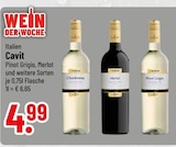 Chardonnay im Trinkgut Prospekt Chardonnay von Cavit im aktuellen Trinkgut Prospekt für 4,99 €