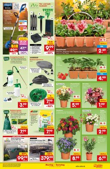 Rasenmäher im Netto Marken-Discount Prospekt "Aktuelle Angebote" mit 53 Seiten (Regensburg)