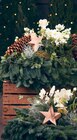 Christrose Angebote bei Hagebaumarkt Norderstedt für 14,99 €