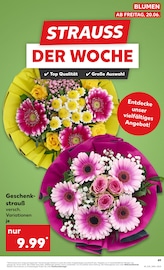 Blumen im Kaufland Prospekt in Passau Aktueller Kaufland Prospekt mit Blumen, "KNÜLLER", Seite 10
