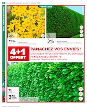 Prospectus Carrefour "PRÉPAREZ L’AUTOMNE : JARDIN - BRICOLAGE" en cours à Versailles, Page 10 Catalogue Carrefour en cours à Versailles, "PRÉPAREZ L’AUTOMNE : JARDIN - BRICOLAGE", Page 10