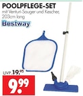 Poolpflege-Set Angebote von Bestway bei Wreesmann Pirna für 9,99 €