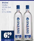 Aktuelles Vodka Angebot bei Getränkewelt in Duisburg ab 6,99 €